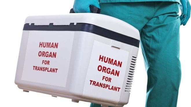 Llaman a crear conciencia sobre la donación de órganos