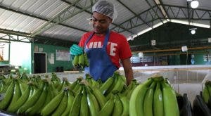 Estado da  prioridad a agroindustria