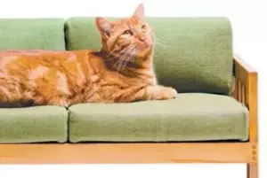 Lanzan una línea de muebles para los gatos