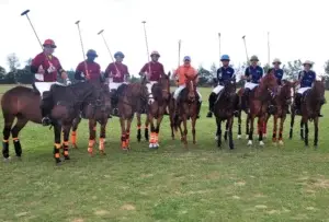 Seis conjuntos en torneo polo