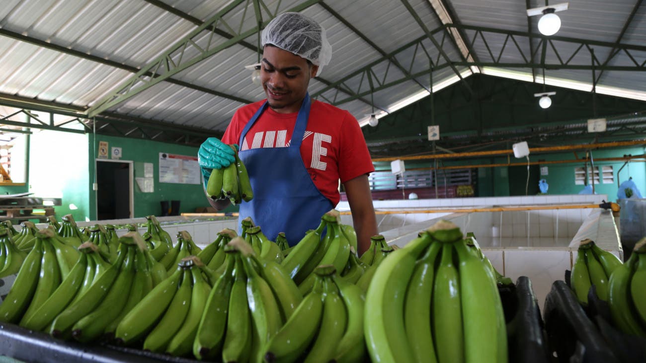 Danilo Medina instruye a instituciones adquirir productos en la agroindustria nacional