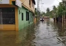 COE: 473 viviendas afectadas; 1,750 desplazados y 26 provincias en alerta por lluvias