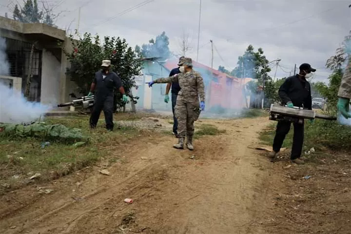 Fuerza Aérea realiza jornada de fumigación en sectores de San Isidro