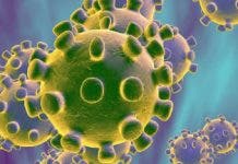 Confirman 3 casos de coronavirus en las islas de San Bartolomé y San Martín