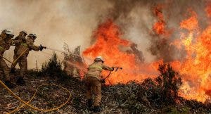 Los fuegos e incendios forestales,  diferentes, pero igual de peligrosos