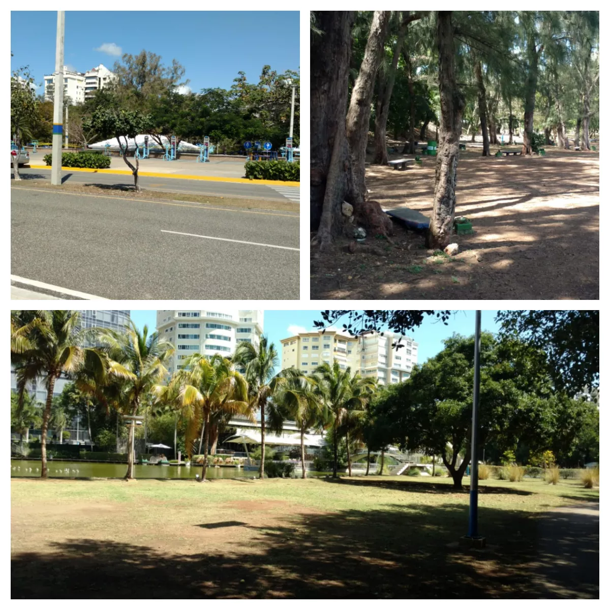 Así lucen los parques de la Capital este domingo por el COVID-19