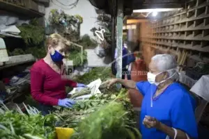 Venezolanos buscan en hierbas una defensa contra coronavirus