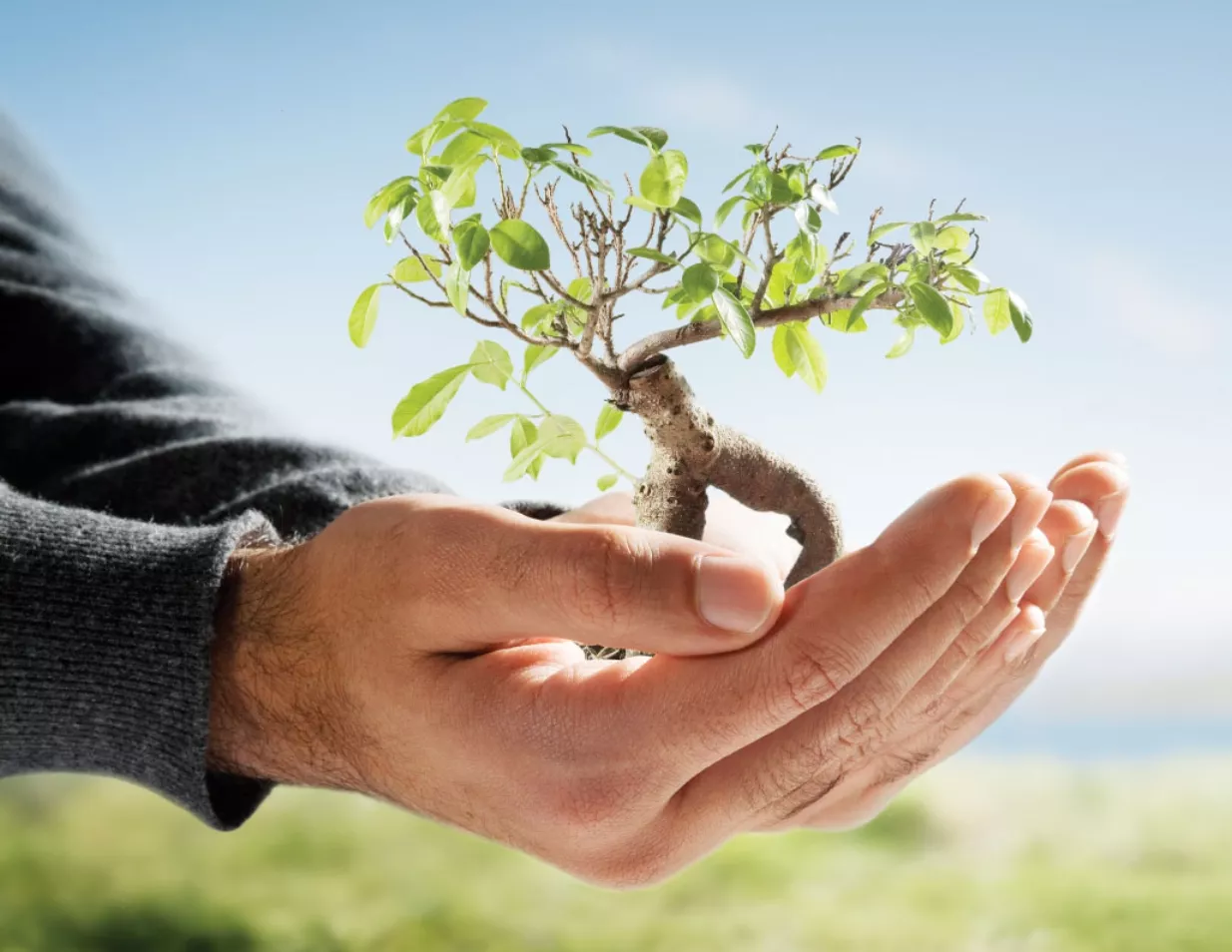 La Salud Planetaria se basa en la conservación de la biodiversidad