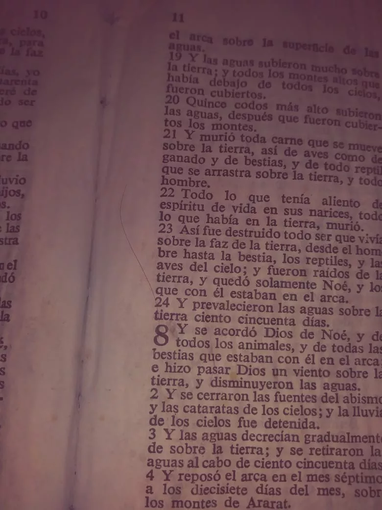 Hebra de cabello en la Biblia: el fake news religioso que aseguran puede librar del covid-19