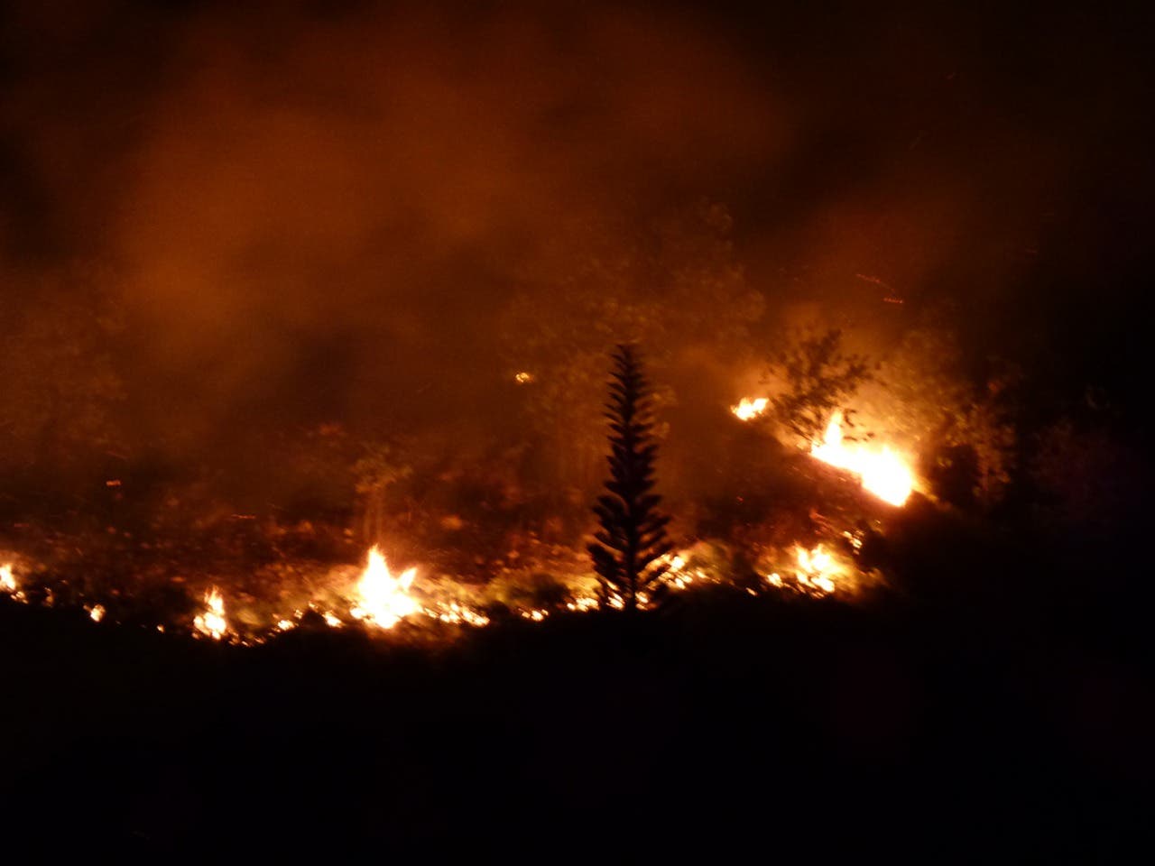 Incendio forestal en Loma Cosón, Las Terrenas,