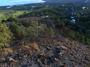 Incendio de Cosón, Las Terrenas afectó unas 20 tareas de matorrales