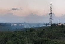 Humareda por quema indiscriminada de árboles afecta residentes en sectores autopista San Isidro