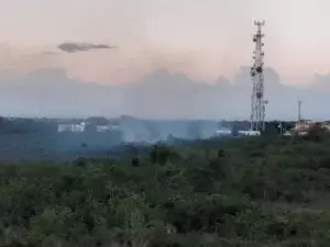 Humareda por quema indiscriminada de árboles afecta residentes en sectores autopista San Isidro