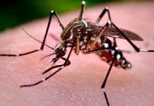 Admiten dengue está en expansión y para podrían aumentar casos, pero dentro de lo esperado