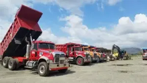 Empresarios apoyan resolución  del TC  que declara ilegal cobros de cabildos a vehículos pesados