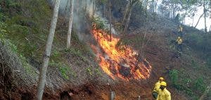 El incendio en Las Neblinas, Constanza, fue controlado por brigadas forestales