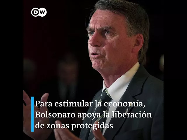 Destrucción de la Amazonía aumentó en 2020