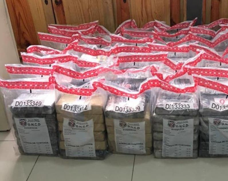 La DNCD ocupa 253 paquetes de coca en Caucedo