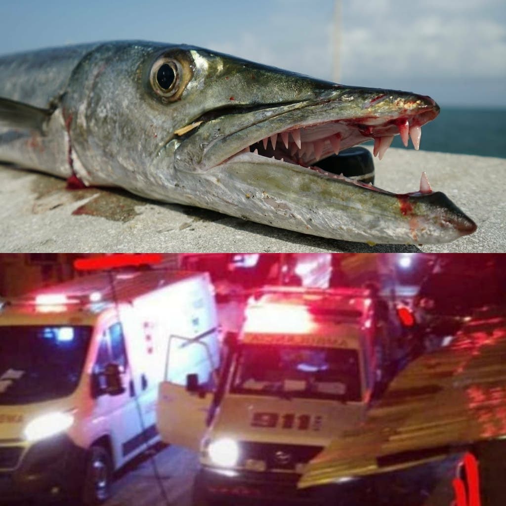 Se intoxican 21 personas en Sosúa tras ingerir pez picúa