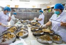 Cómo China está impulsando el uso de su medicina tradicional ante la pandemia