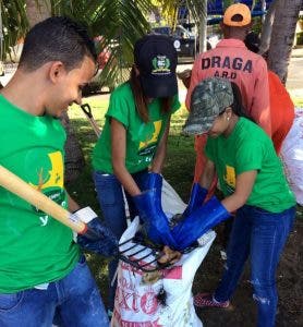 Universidades deben asumir reto de  mitigar las huellas de carbono