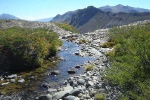 Experto dice ley de aguas facilita la gestión