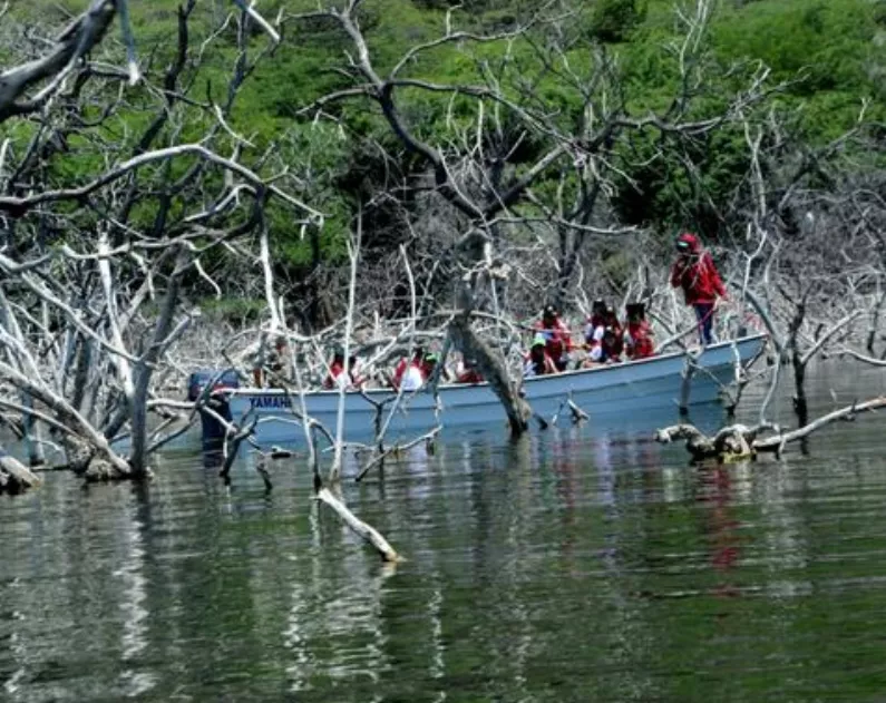 Ministerio de Medio Ambiente abre áreas vedadas  para el turismo