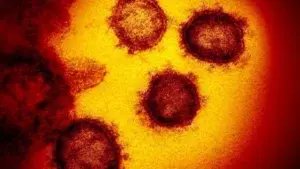 Tratamiento del coronavirus: ¿podremos curar la covid-19 engañando al virus?