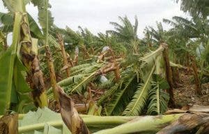 Tormenta Laura limita el acceso a algunas zonas agrícolas