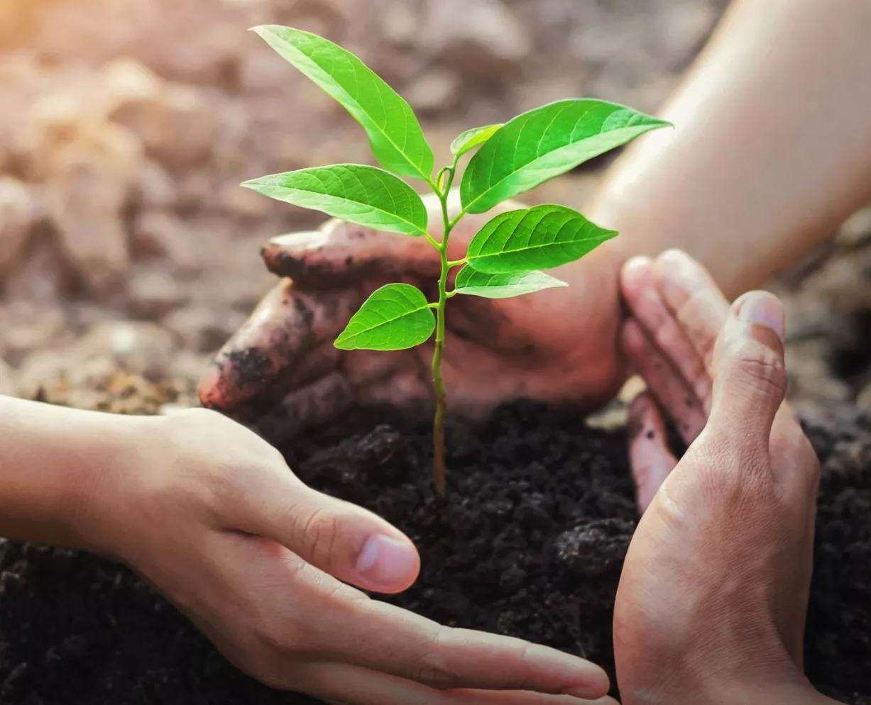 La Ley de Educación Ambiental,   despertar de conciencia a favor RD