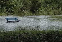 Laura se degrada a tormenta tropical en el sur de Estados Unidos     