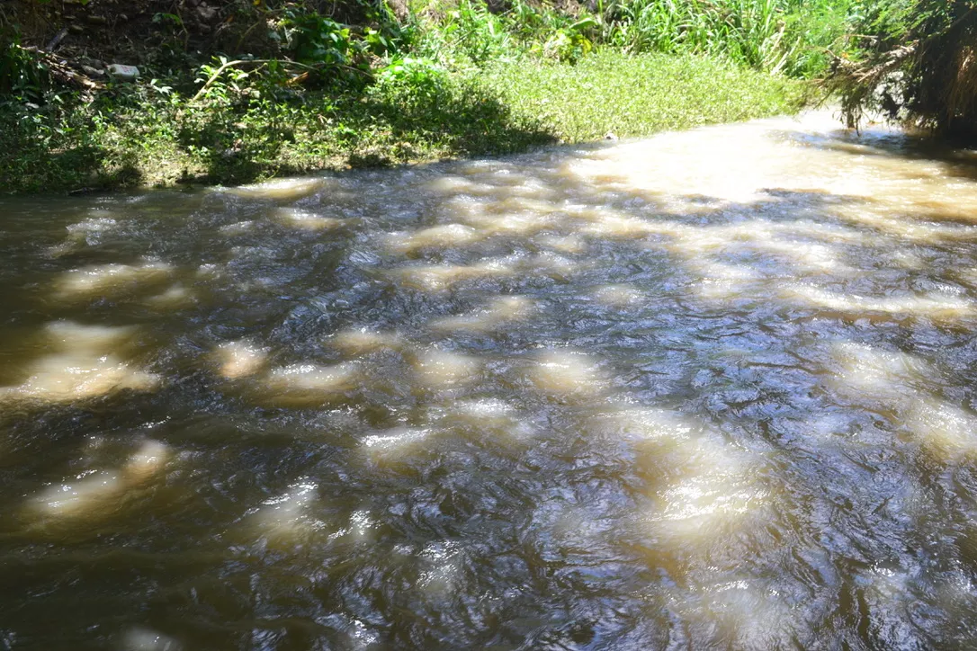 Instan al Procurador Ambiental investigar contaminación provocaría Punta Catalina a río