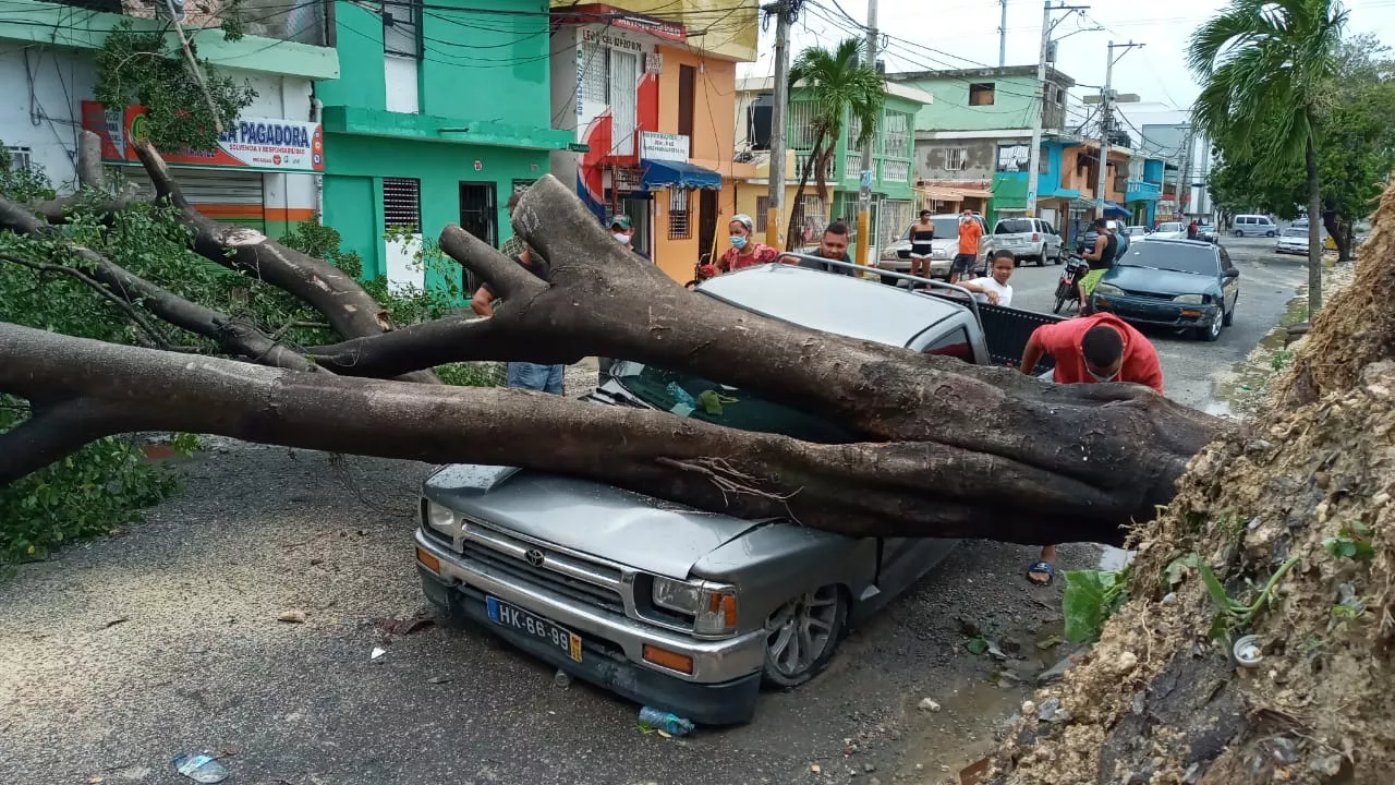 Vehículo resulta afectado tras caída de árbol en Cristo Rey