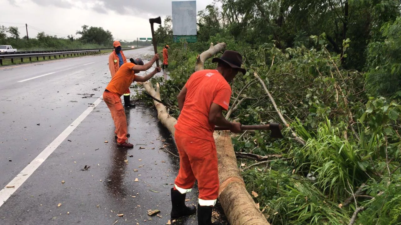 Obras Públicas retira ramas y escombros de vías tras el paso de la tormenta Laura