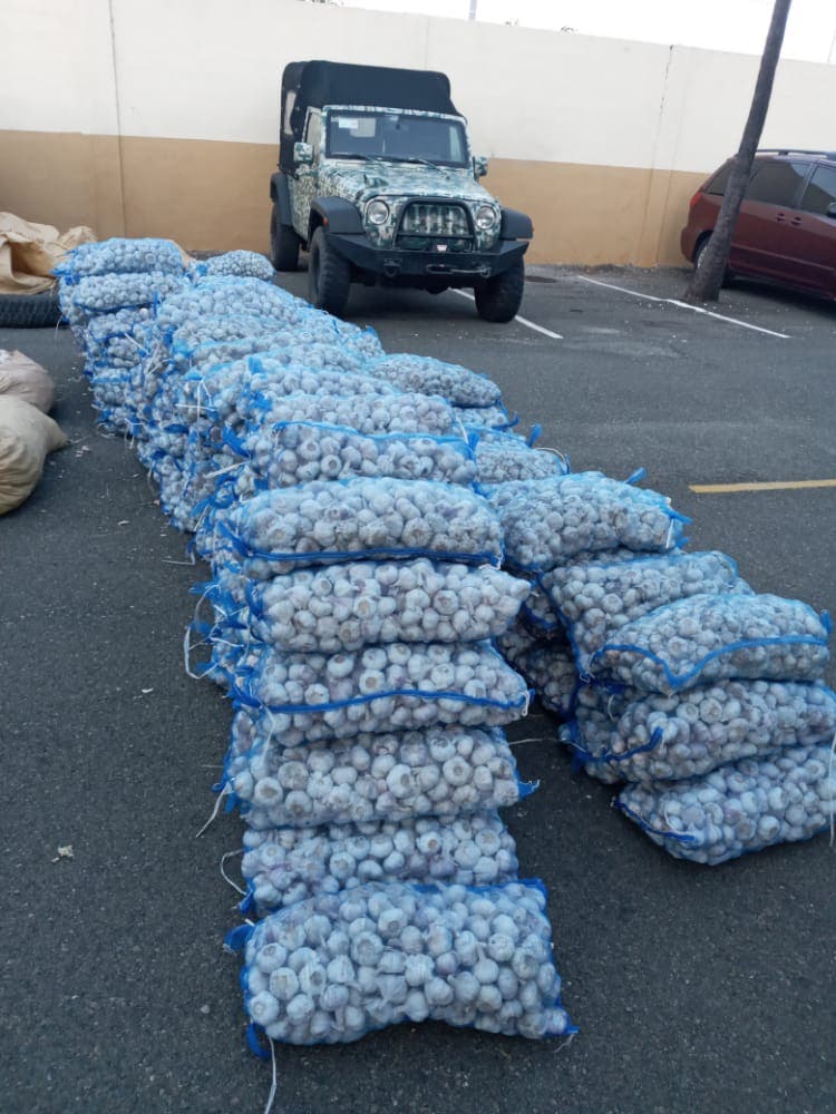 Miembros de la Armada se incautan de  contrabando 161 sacos de ajo en Azua
