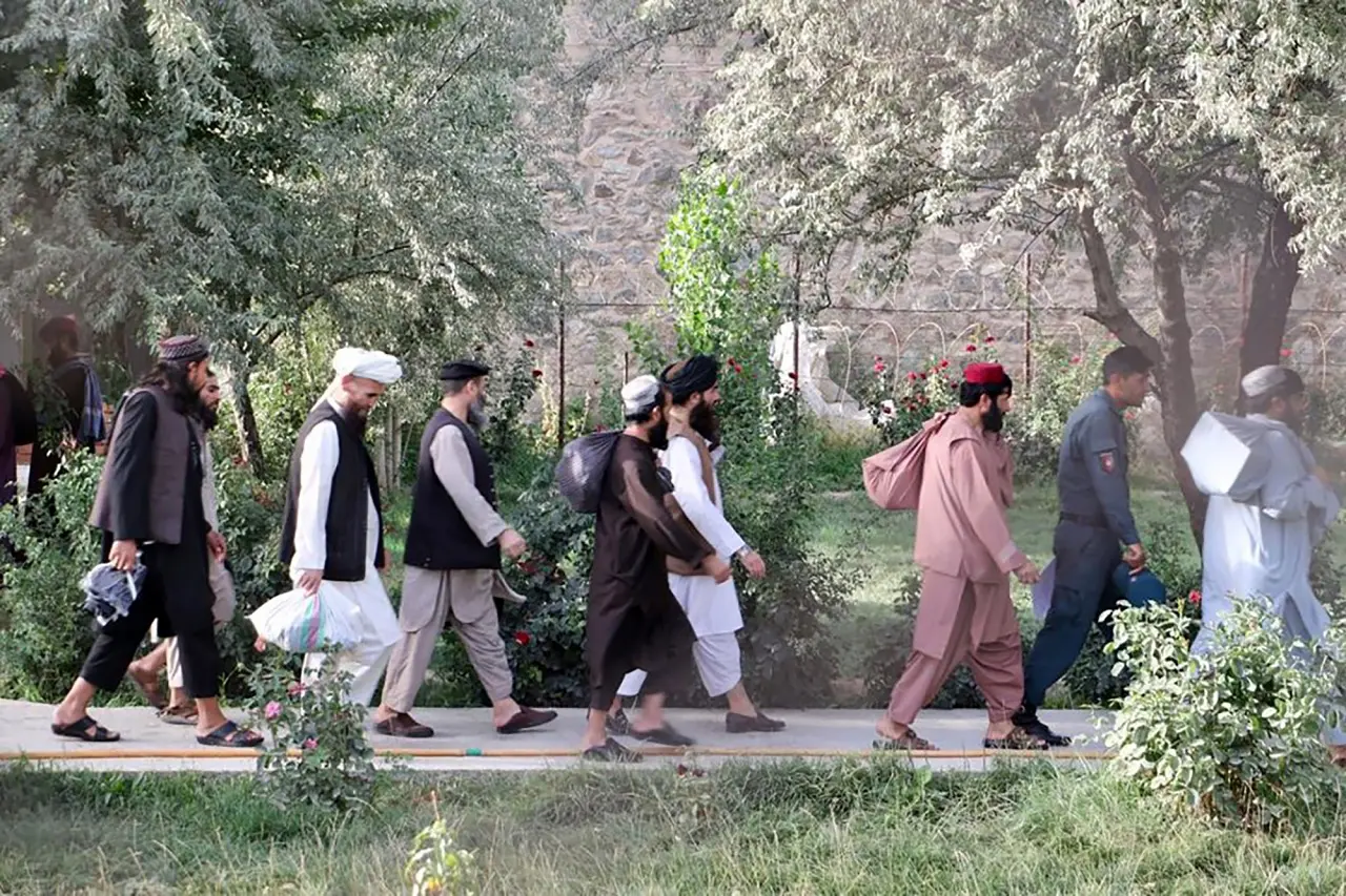Camino al diálogo, gobierno de Afganistán comienza a liberar los últimos 400 talibanes presos