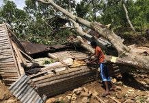 Niño de 5 años muere aplastado al caer árbol encima de su vivienda en paraje de Altamira