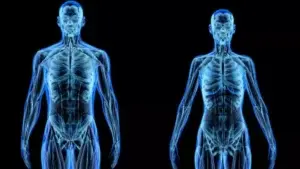 ¿De qué está hecho realmente el cuerpo humano?