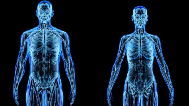 ¿De qué está hecho realmente el cuerpo humano?