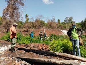 Apresan hombre que hacía conuquismo en río Las Damas en Duvergé