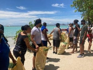 Realizan jornada de limpieza en isla La Matica de Boca Chica