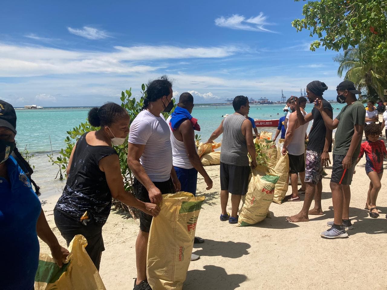 Realizan jornada de limpieza en isla La Matica de Boca Chica