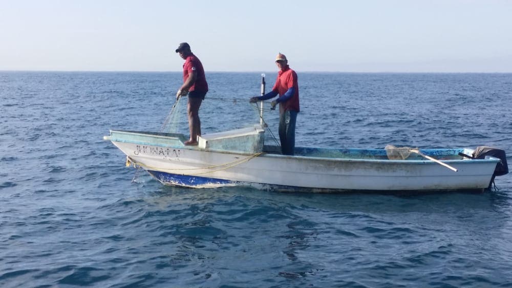 Armada apresa a 16 personas por pesca ilegal en Cayo Los Siete Hermanos