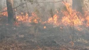 Autoridades combaten incendio forestal en Bahoruco