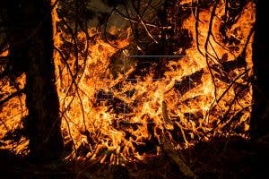 Quince muertos y cientos de miles de evacuados por los fuegos en el oeste de EE.UU