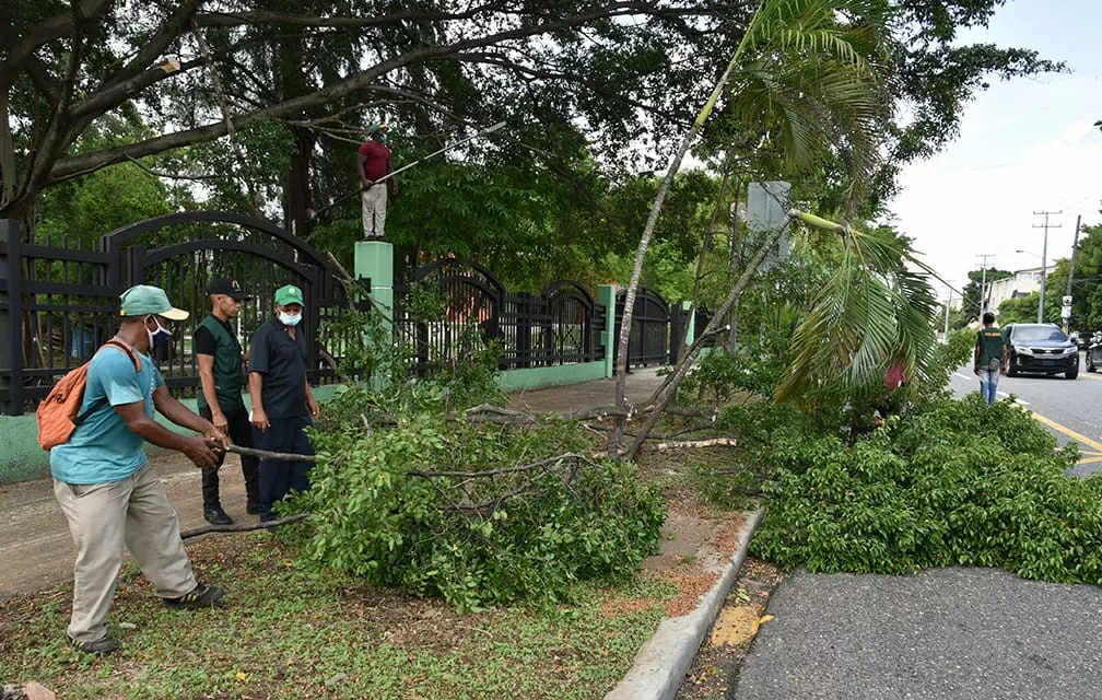 Obras Públicas inicia operativo de limpieza y rescate de áreas en el Parque del Este