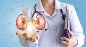 Pacientes  insuficiencia renal crónica sufren anemia  frecuentemente