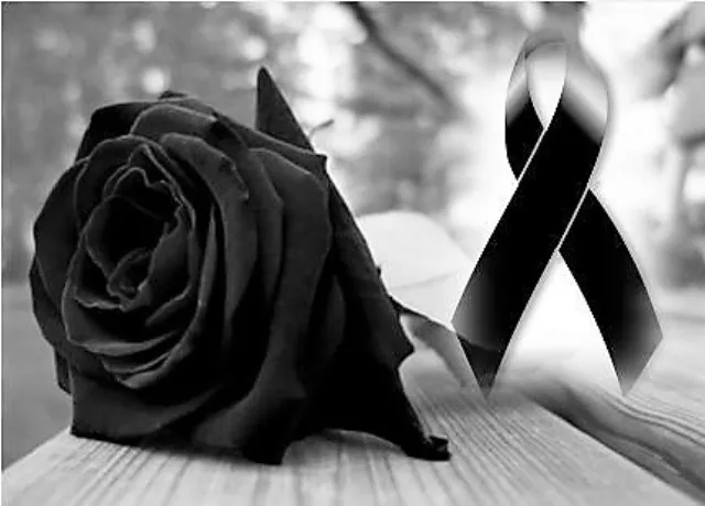 24-24-13-59-19-5644979