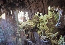 Parque Los Farallones:  Una reserva ecológica de gran valor cultural  y arqueológico