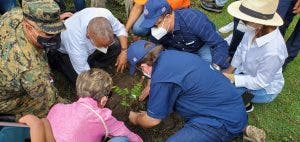 Autoridades realizan jornada de reforestación en cuenca del río Yásica